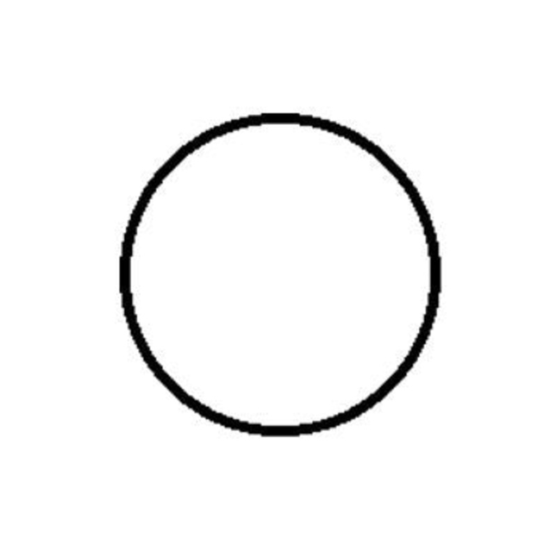 O Ring, Lower Cap -  Johnson / Evinrude 2cyl Etec
