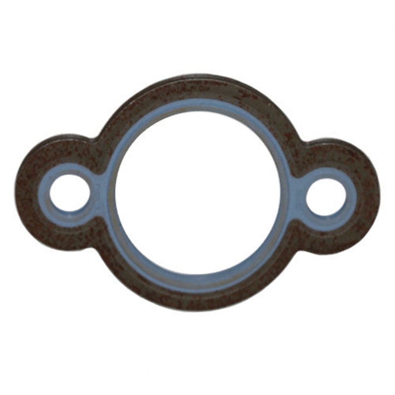 Pump Gasket