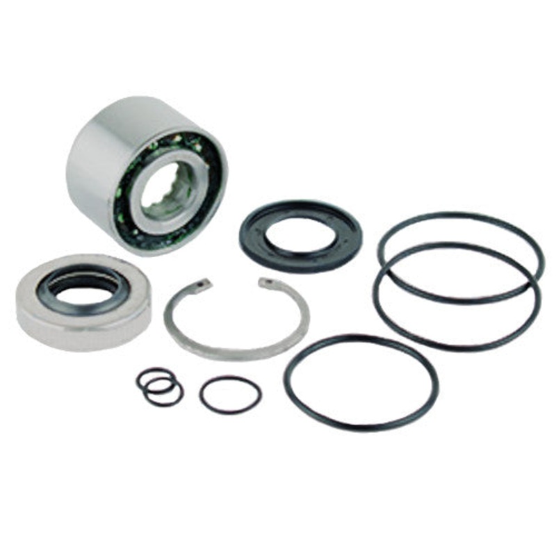 Repair Kit, Jet Pump  - Sea-Doo 1503 4-Tec 02-03