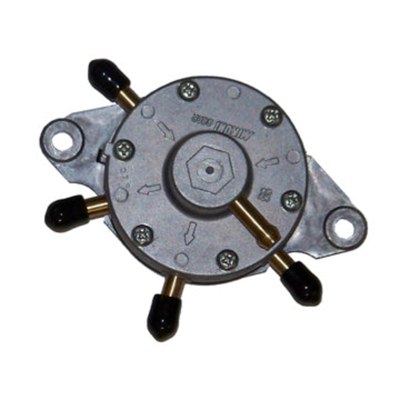 Fuel Pump, Polaris