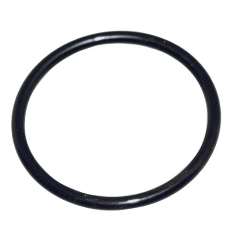 O-Ring, Thermostat - Honda BF115-BF250