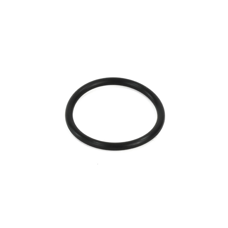 ELGi Oring Replacement - 015402283