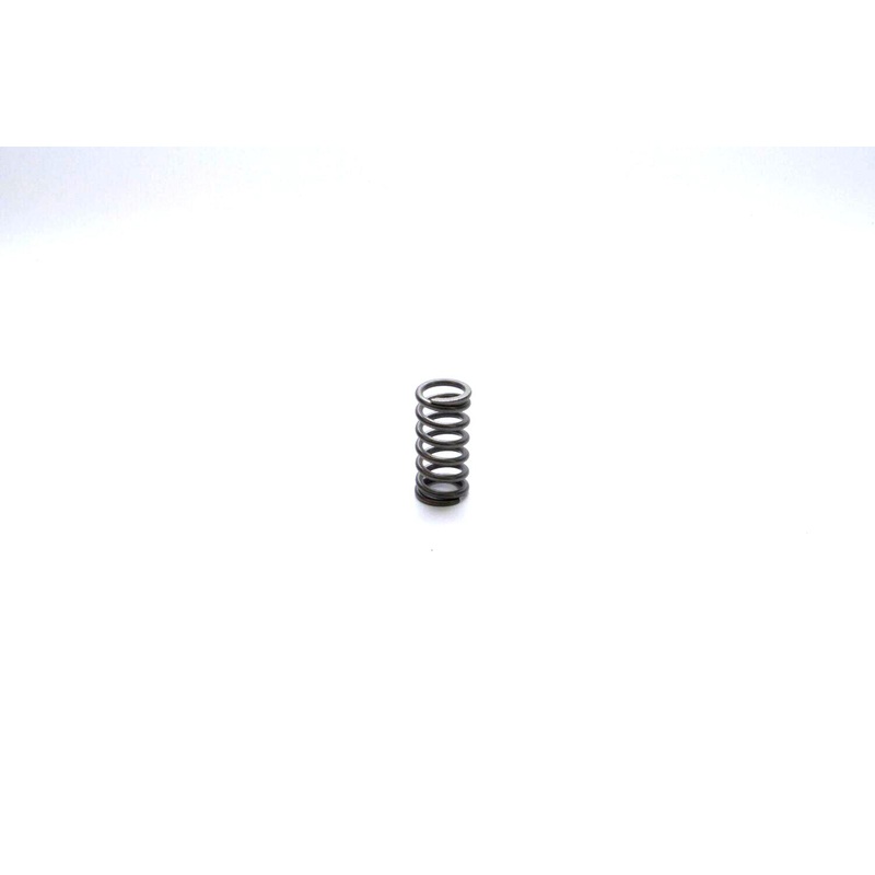 Gardner Denver Spring Replacement - 1-243274