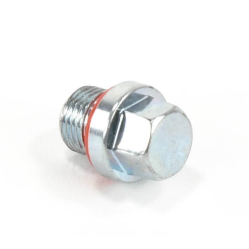 BOGE Screwed Plug Replacement - 819503020P
